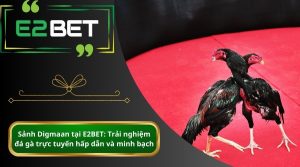 Sảnh Digmaan tại E2BET Trải nghiệm đá gà trực tuyến hấp dẫn và minh bạch